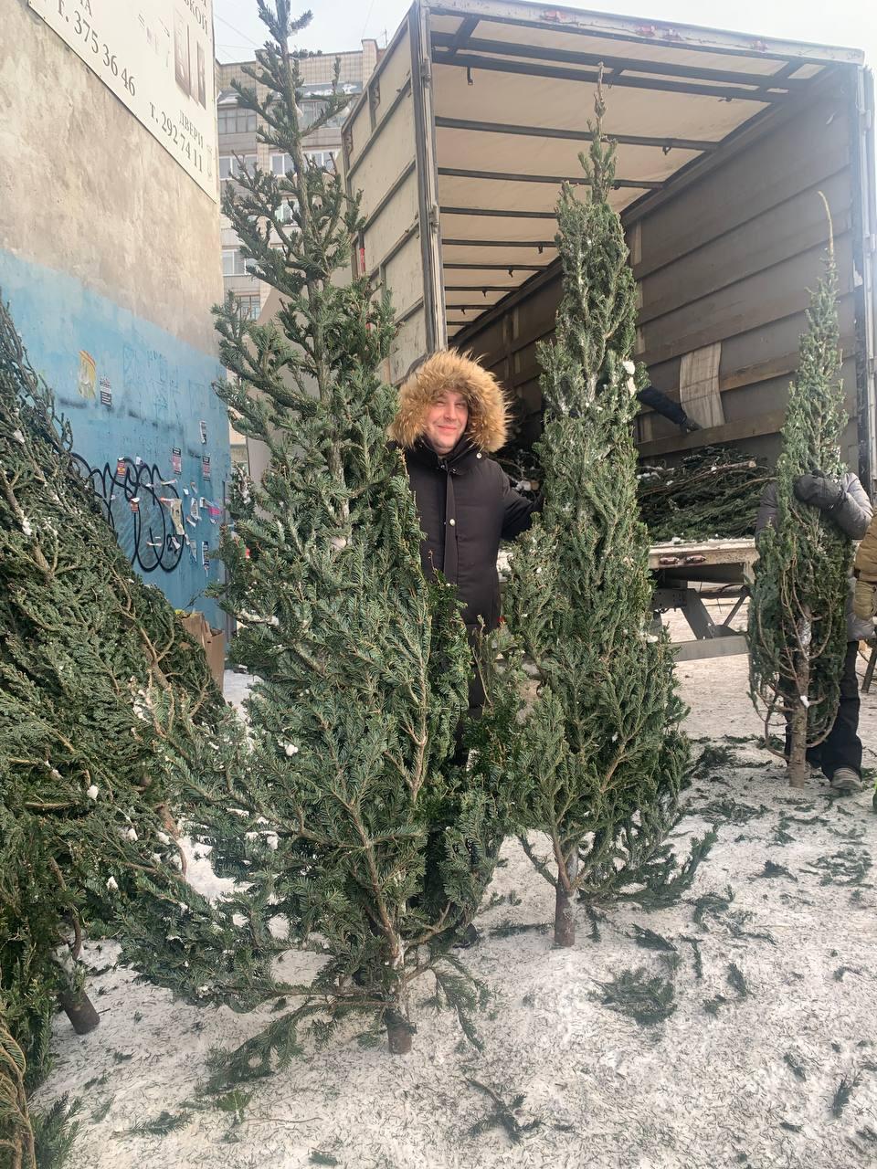 Фото Журналист сравнил цены на елочных базарах Новосибирска 6